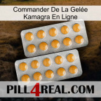 Commander De La Gelée Kamagra En Ligne levitra2